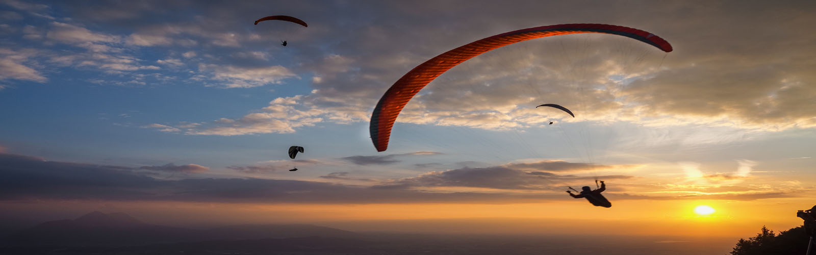 Tour Operator in Katra