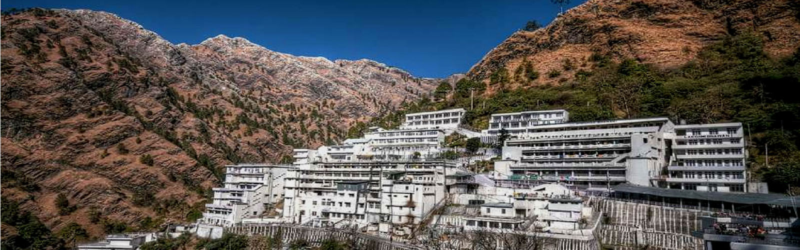 Best Travel Agent in Katra